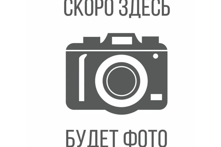 Чизкейк в ассортименте с шоколадным топингом