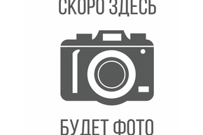 Чизкейк в ассортименте с шоколадным топингом